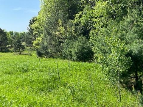 8677 S Schomberg Rd, Cedar, MI 49621 photo 3
