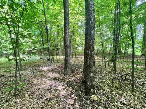 00 Osceola Rd, Cadillac, MI 49601