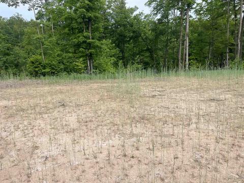 S Hill Road, Cedar, MI 49621