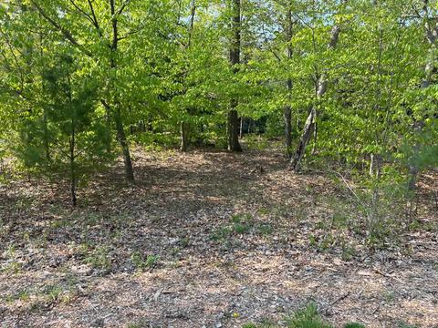 13 Pine, Glen Arbor, MI 49636