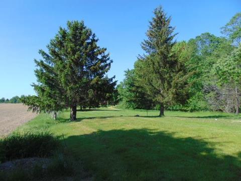 608 W Ctr, Ithaca, MI 48847 photo 10