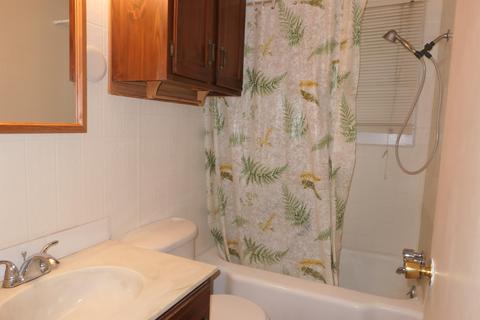 203 End St, Alma, MI 48801 photo 20