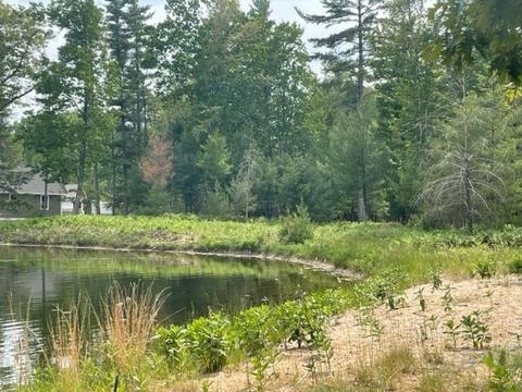 9 Frog Pond The Homestead #THE HOMEAD, Glen Arbor, MI 49636