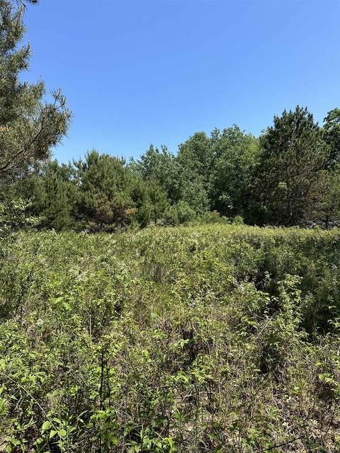 Tbd W Ludington, Lake, MI 48632