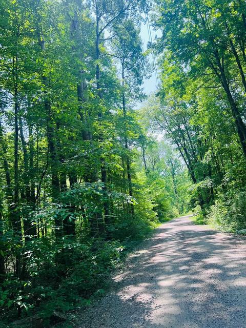 8318 E Baseline Rd, Mount Pleasant, MI 48858