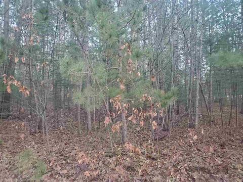03 NE County Road 612, Kalkaska, MI 49646