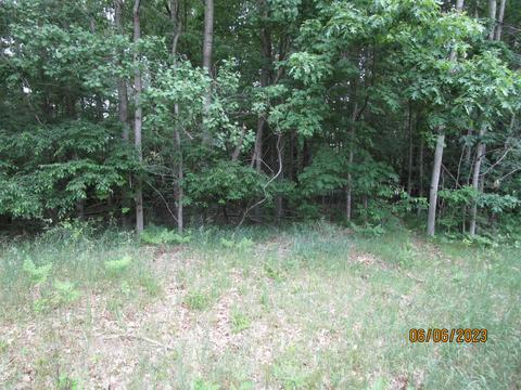 1030 Barcelona Dr, Lake Isabella, MI 48893