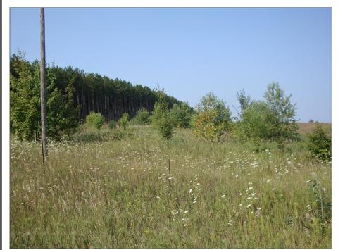1260 SE Saunders Rd, Kalkaska, MI 49646