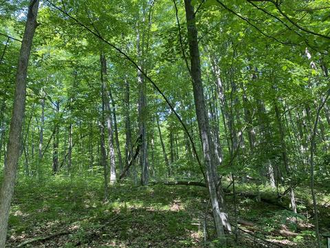 Lot 70 Birch View, Lake Ann, MI 49650