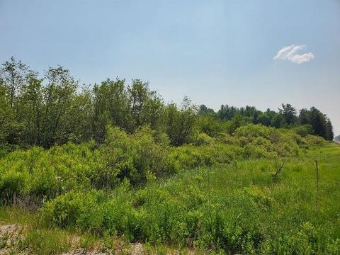 0 S M-76, West Branch, MI 48661