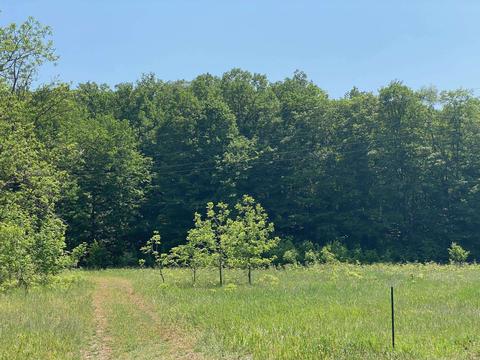 V/l Edwin Boulevard, Grawn, MI 49637