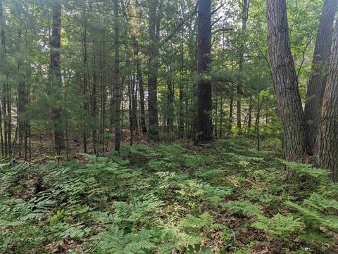 5314 E 15th, Au Gres, MI 48703 photo 13
