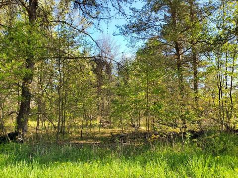 0 Donald Street Lots 158-160 Donald St #LOT S 158-160 DONALD STREET, Prescott, MI 48756