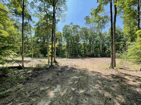 Lot 16 S Fairway Drive, Cedar, MI 49621