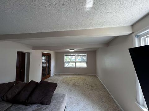 122 N Catherine, Ithaca, MI 48847 photo 37