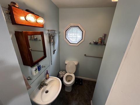 122 N Catherine, Ithaca, MI 48847 photo 30