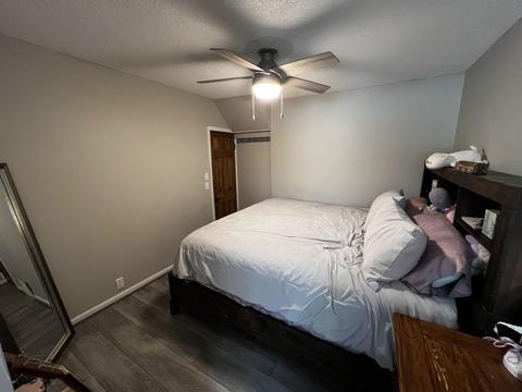 122 N Catherine, Ithaca, MI 48847 photo 32