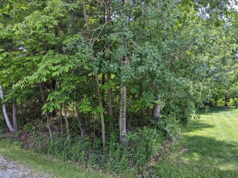 00 Deerfield Ln, Lupton, MI 48635