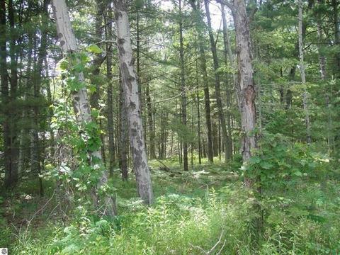 0 Us-23 N, Oscoda, MI 48750