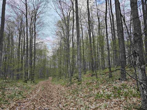 0 7 Mile Rd, Lake City, MI 49651