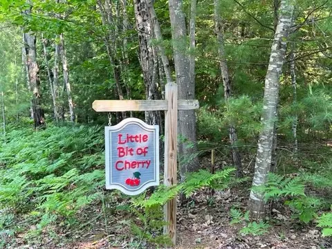 15882 E Cherry Park #LOT : 37&38, Northport, MI 49670