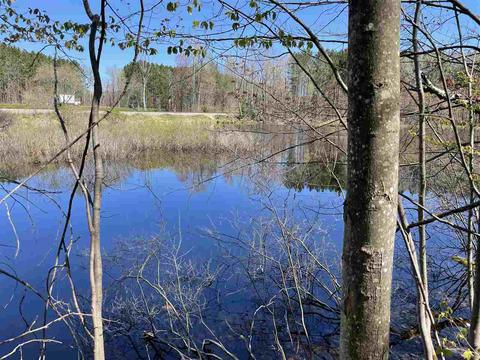 10 Acres Inman Rd, Fife Lake, MI 49633