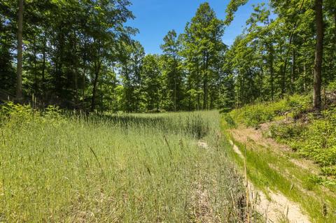 0000 Elk Lake Rd, Williamsburg, MI 49690