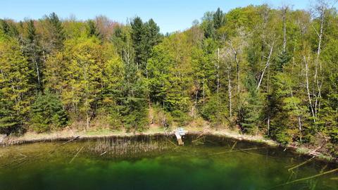 00 Brown Fire Ln, Williamsburg, MI 49690