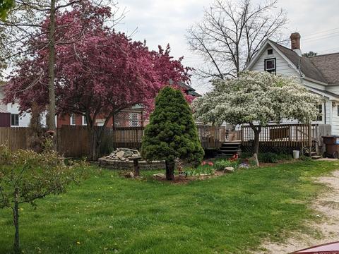 858 Farrar, Cadillac, MI 49601