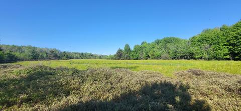 Tbd Rudman, Thompsonville, MI 49683