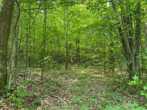Bern Lot: 506, Reed City, MI 49677