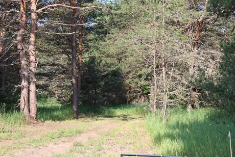 10370 Sperry Rd, Fife Lake, MI 49633