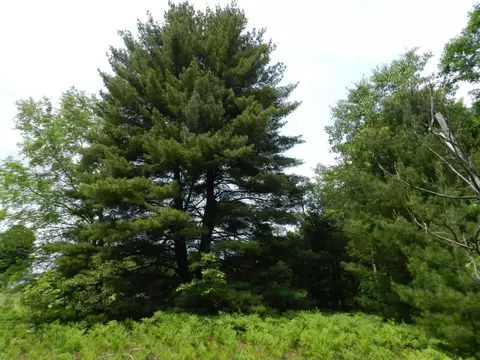 000 Riley, Interlochen, MI 49463