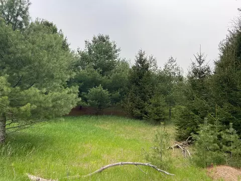 00 Shadynook Rd, Central Lake, MI 49622