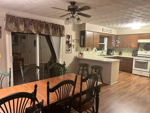 411 N 3rd St, Shepherd, MI 48883 photo 4