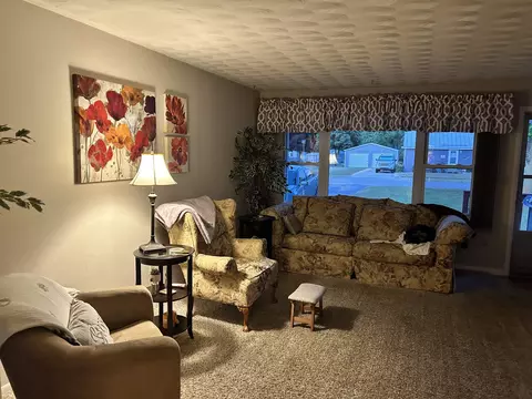 411 N 3rd St, Shepherd, MI 48883 photo 3