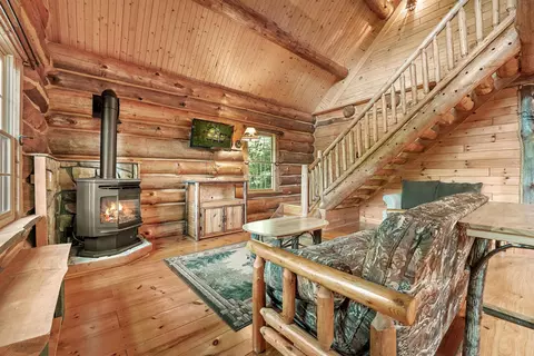 245 Rollaway, Manton, MI 49663 photo 31