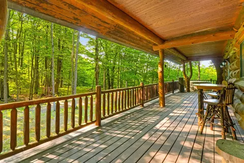 245 Rollaway, Manton, MI 49663 photo 18
