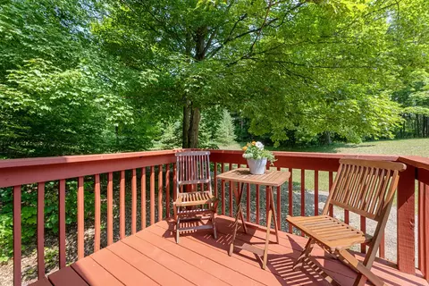 2549 E Kasson, Cedar, MI 49621 photo 39