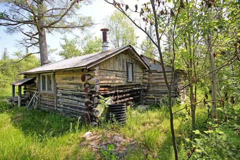 State, Kalkaska, MI 49646