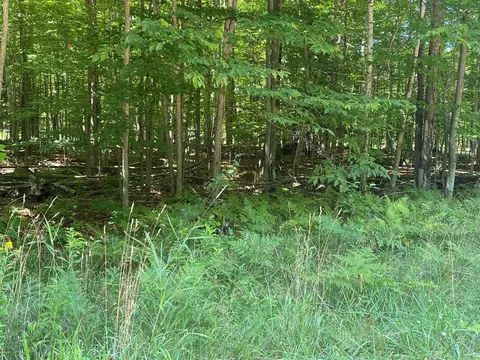 00 Hjelta Rd, Kewadin, MI 49648