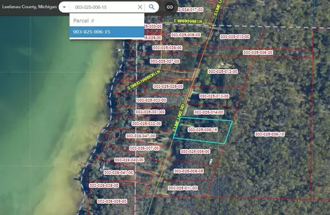 6173 S Lime Lk, Cedar, MI 49621 photo 30
