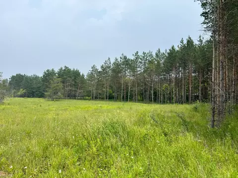 00 E 12, Manton, MI 49663