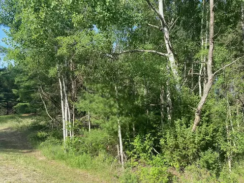 3 3, Cadillac, MI 49601