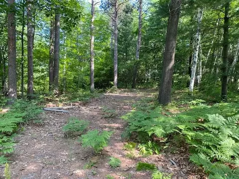 11670 Petobego Pnes, Williamsburg, MI 49690