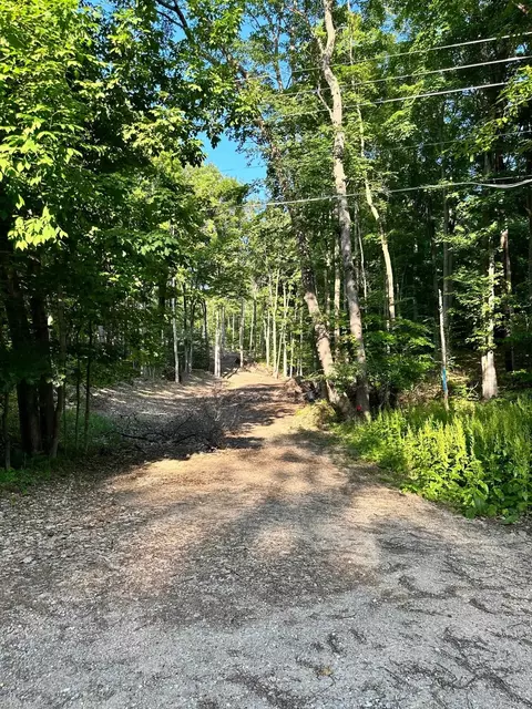 S Lime Lake, Cedar, MI 49621