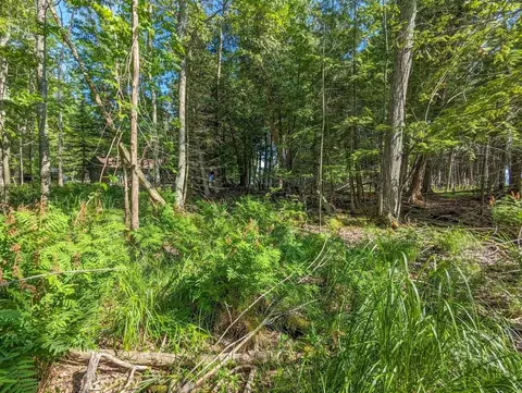 366 E Sugar Bay, Cedar, MI 49621 photo 15