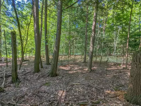366 E Sugar Bay, Cedar, MI 49621 photo 13