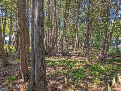366 E Sugar Bay, Cedar, MI 49621 photo 7