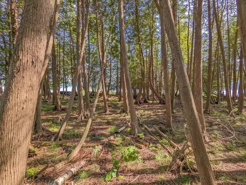 366 E Sugar Bay, Cedar, MI 49621 photo 3